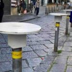 TAVOLINO SELVAGGIO A NAPOLI