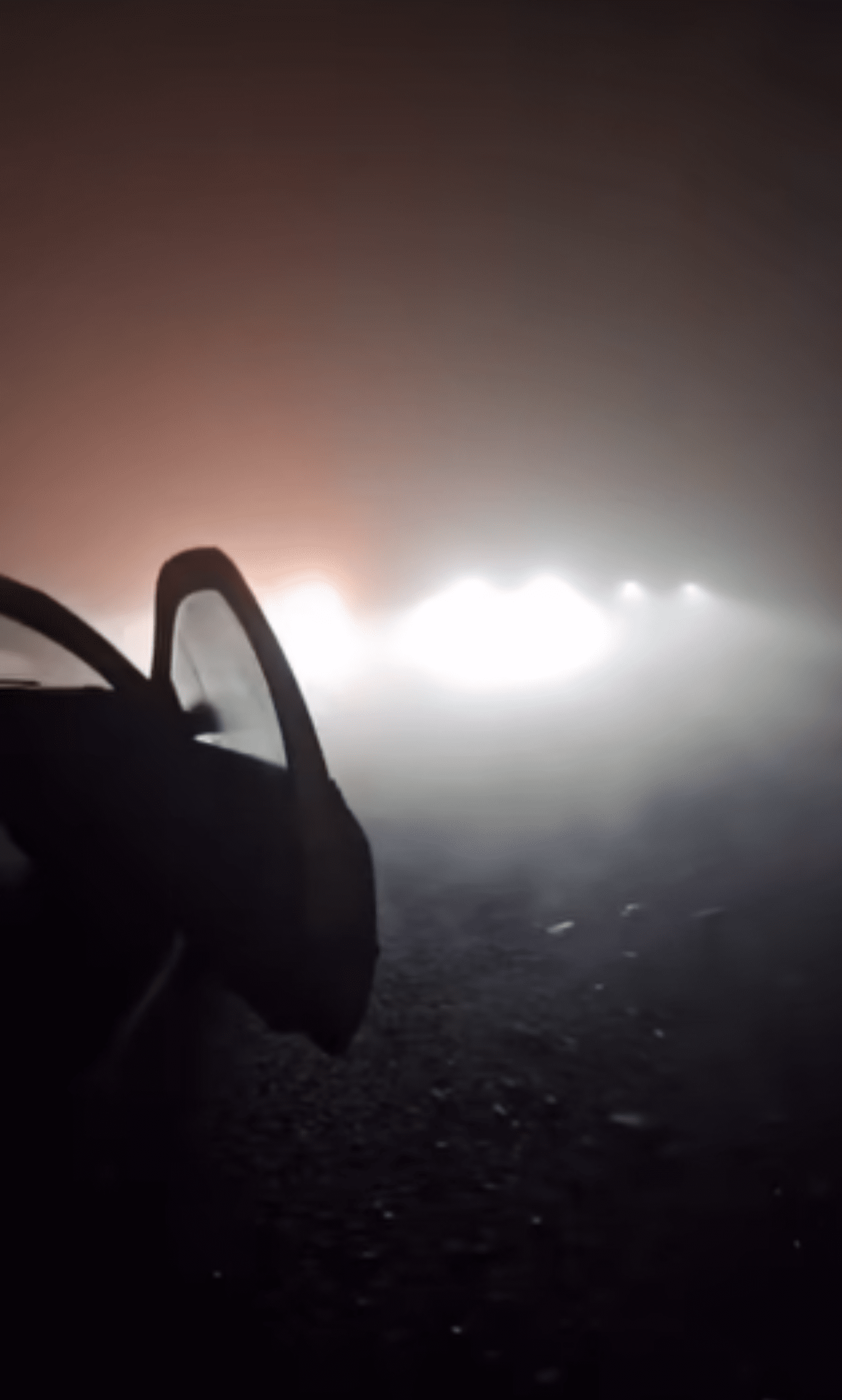 nebbia-capodanno-incidenti