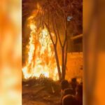 fuochi falò cippo sant'antonio agente polizia municipale ferita sassaiola