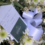 bimba morta acerra pitbull funerali