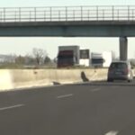 Tragedia sfiorata sull'A2 tra Polla e Atena Lucana, auto contromano