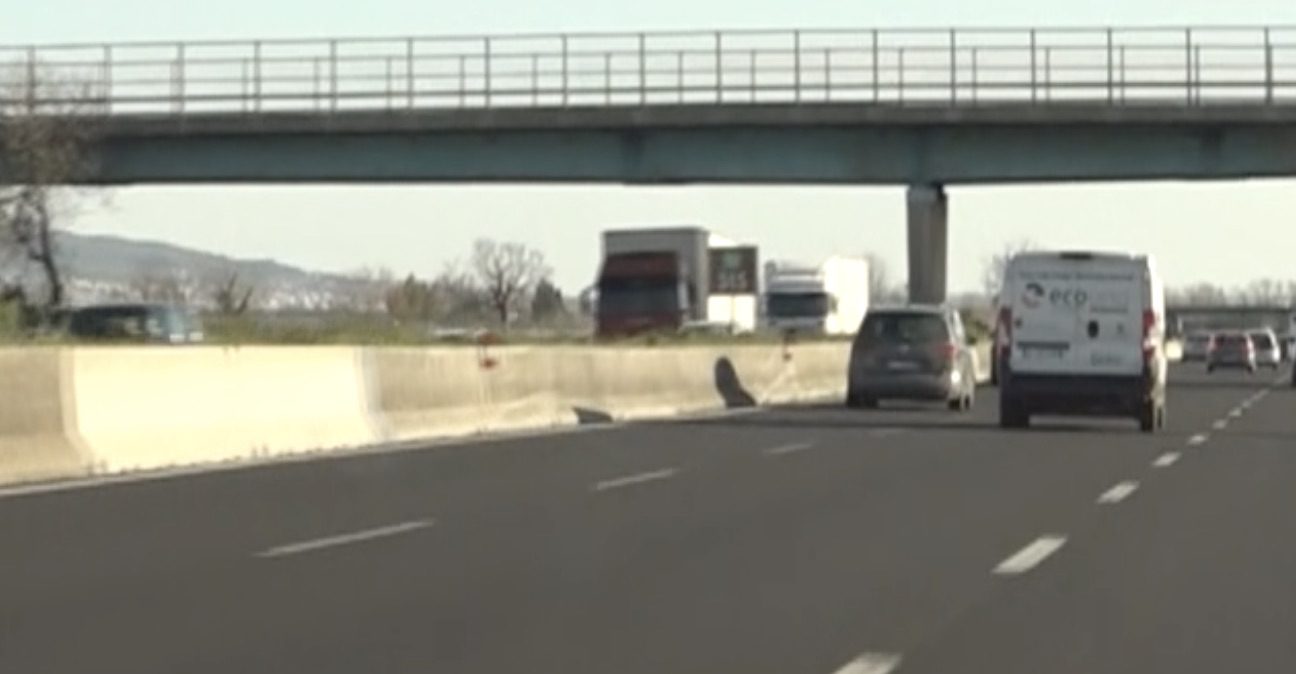 Tragedia sfiorata sull'A2 tra Polla e Atena Lucana, auto contromano