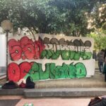 liceo ss apostoli occupato gaza