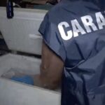 macellazione negozi sporchi salerno