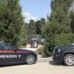 duplice omicidio suicidio apice fratelli licciardi carabinieri